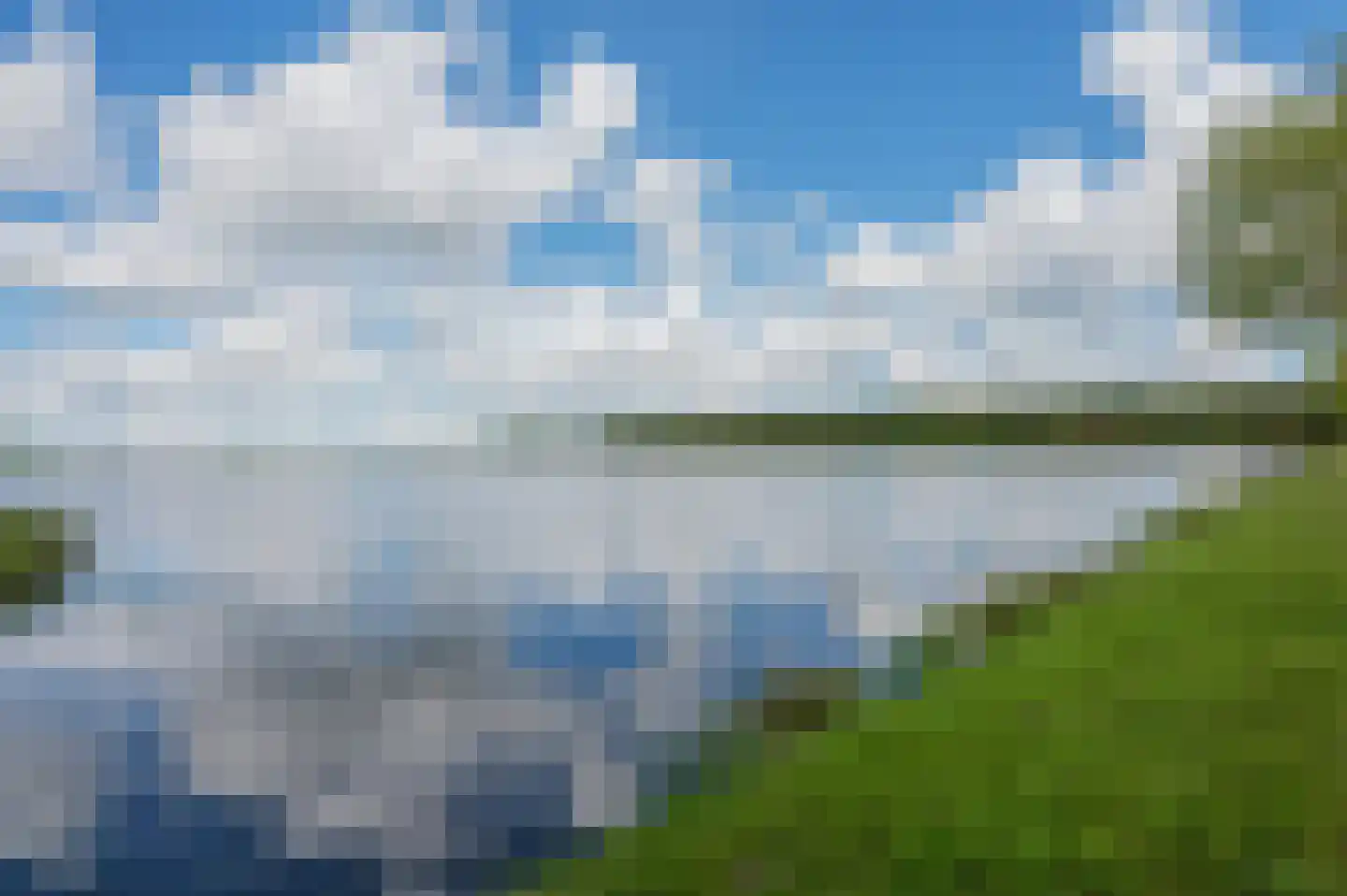 Meerkoet 1 Blauwestad thumbnail 72