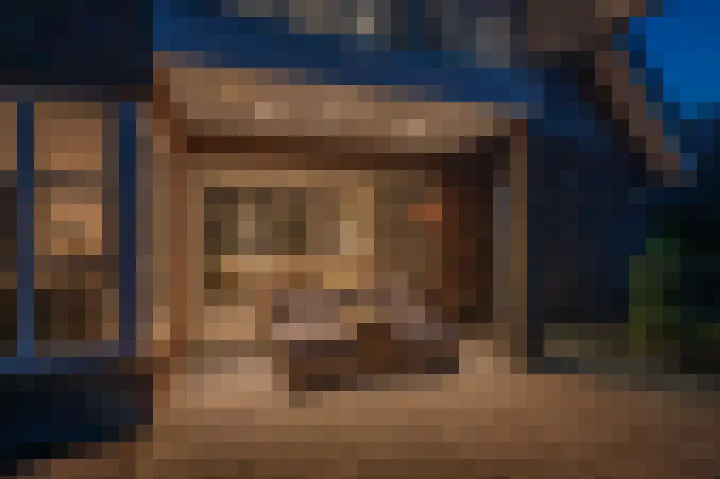 Meerkoet 1 Blauwestad thumbnail 76