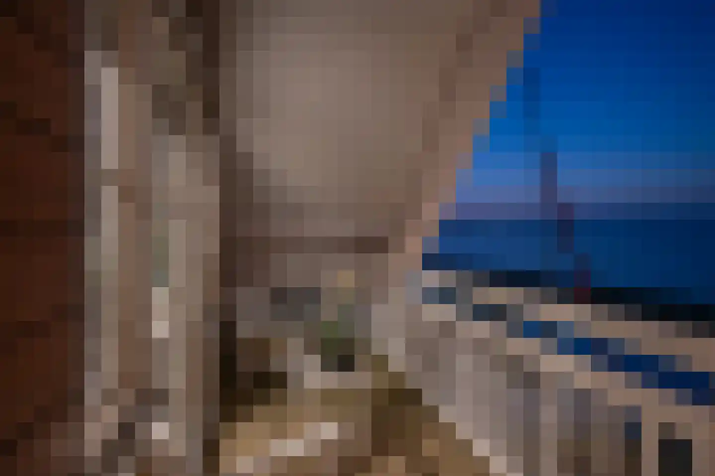 Meerkoet 1 Blauwestad thumbnail 80
