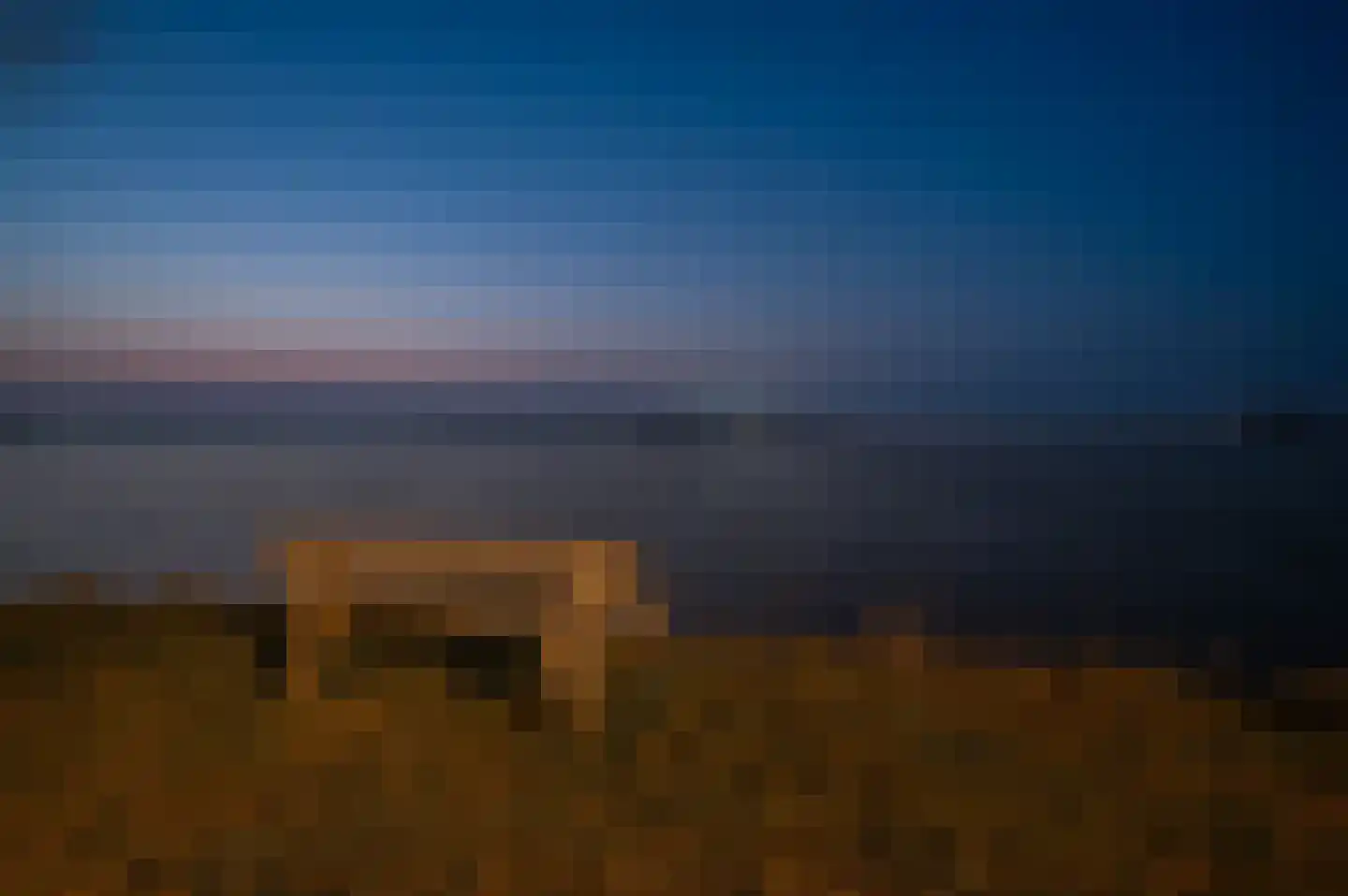 Meerkoet 1 Blauwestad thumbnail 81