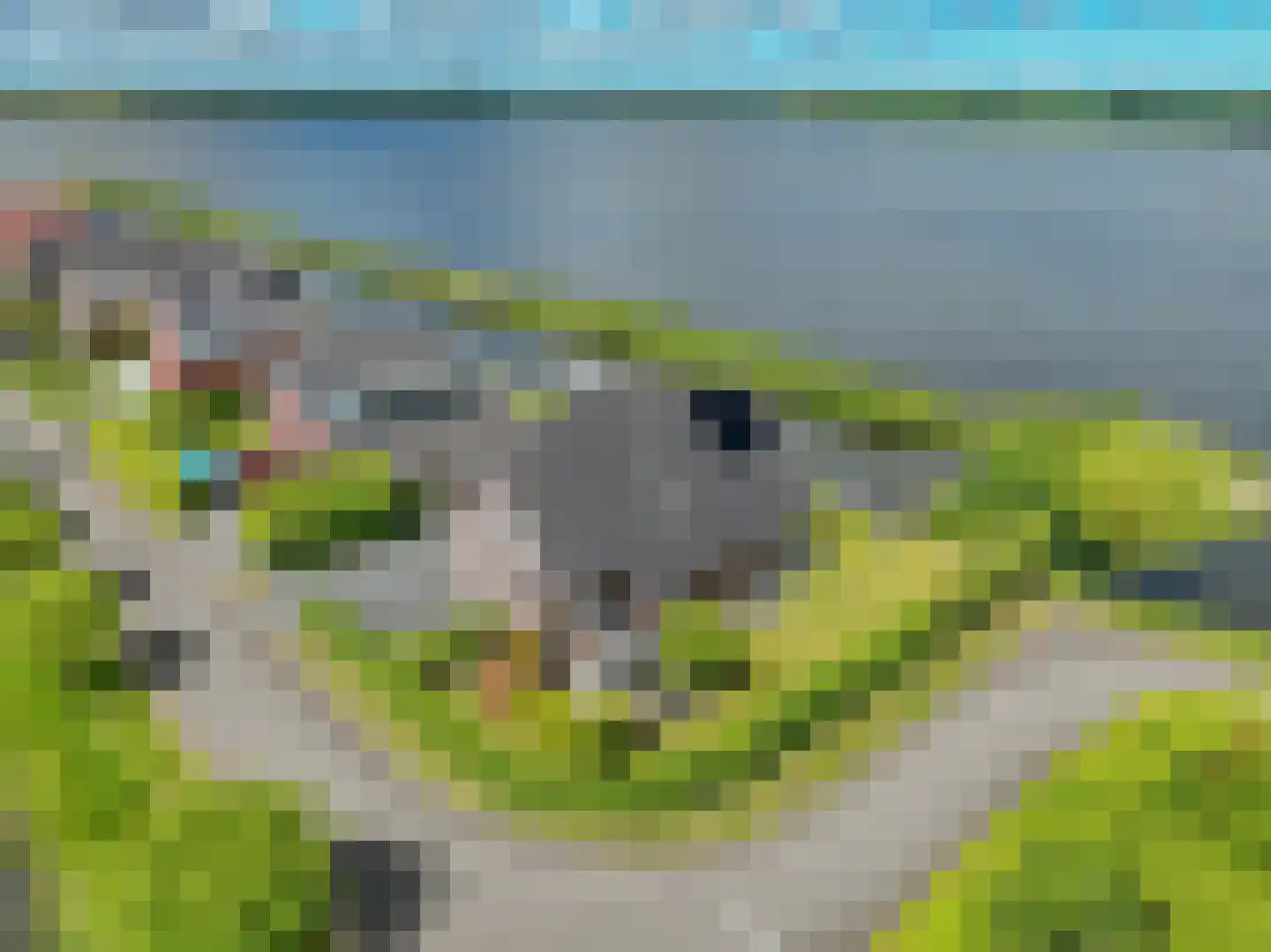Meerkoet 1 Blauwestad thumbnail 82