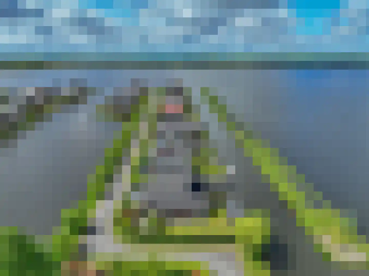 Meerkoet 1 Blauwestad thumbnail 83