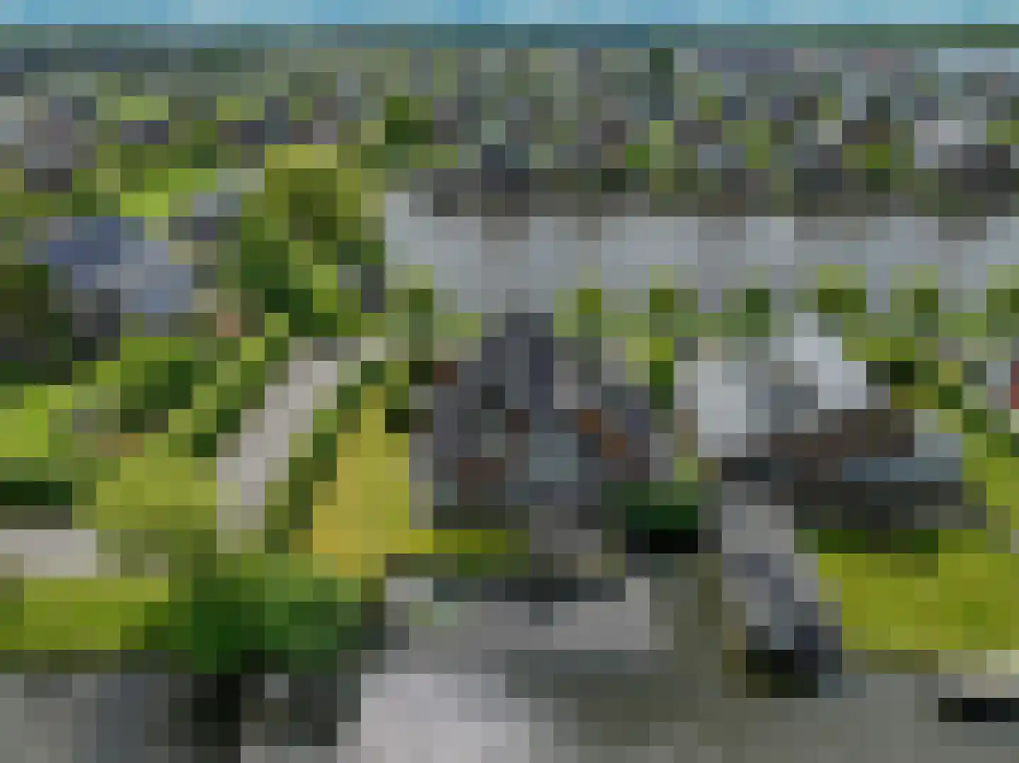 Meerkoet 1 Blauwestad thumbnail 84