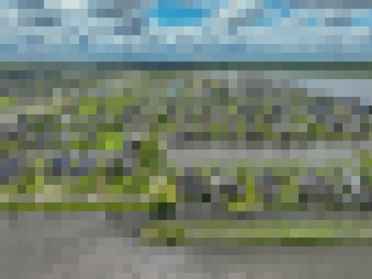 Meerkoet 1 Blauwestad thumbnail 85