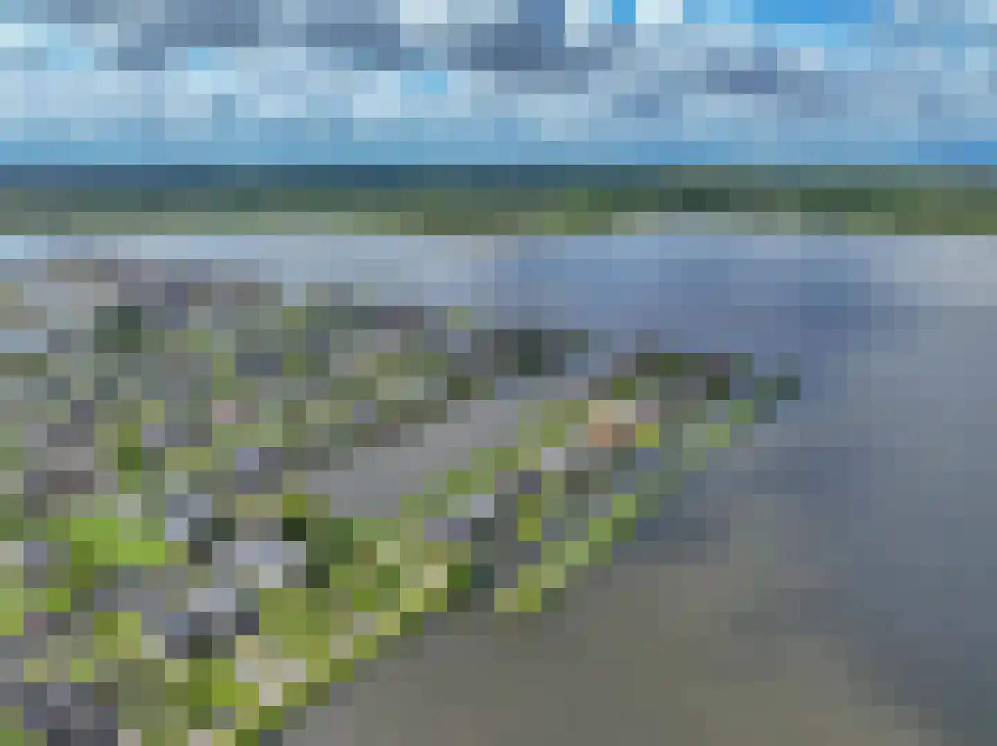 Meerkoet 1 Blauwestad thumbnail 86
