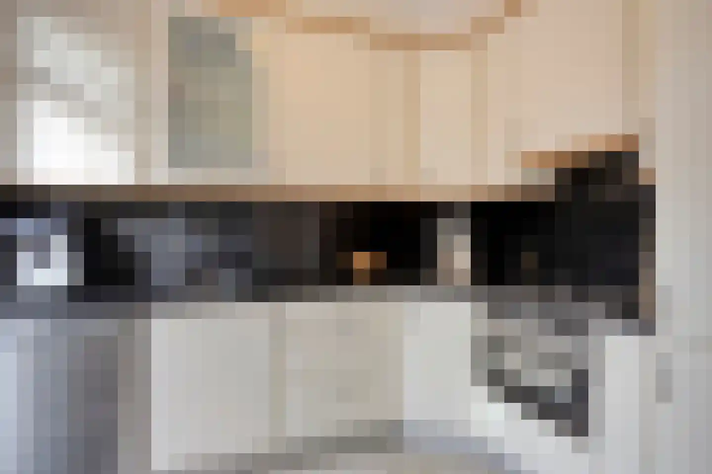Meerkoet 10 Sommelsdijk thumbnail 13