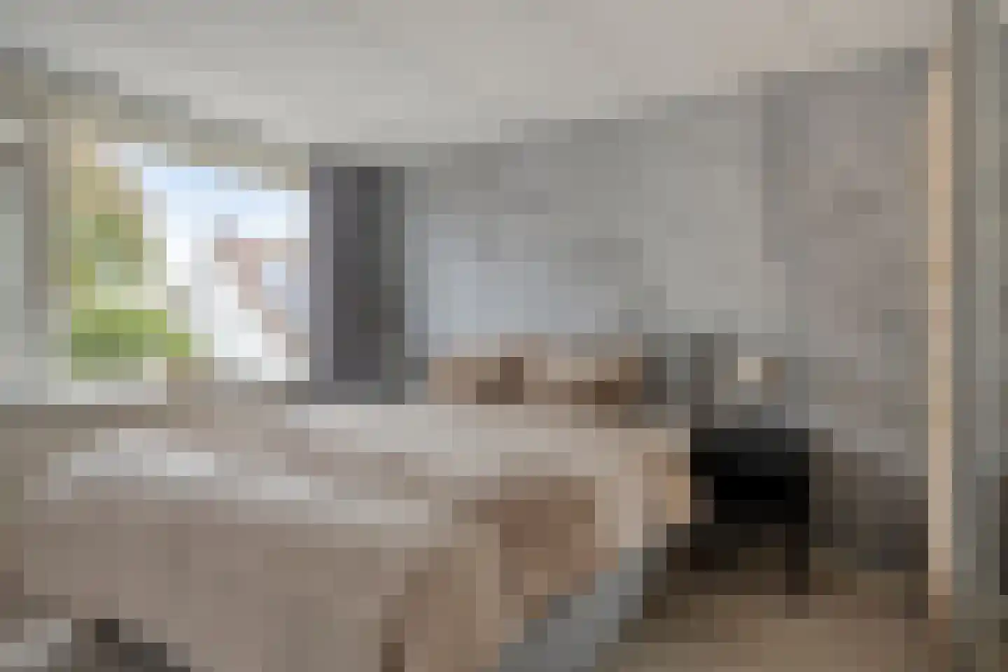 Meerkoet 10 Sommelsdijk thumbnail 14