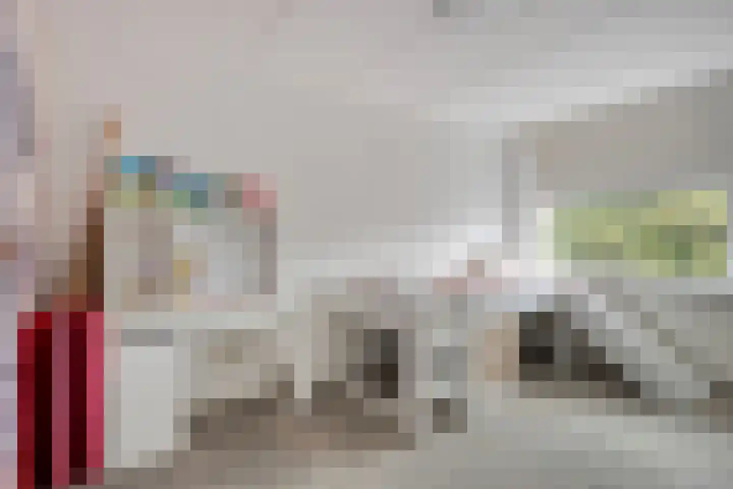Meerkoet 10 Sommelsdijk thumbnail 17