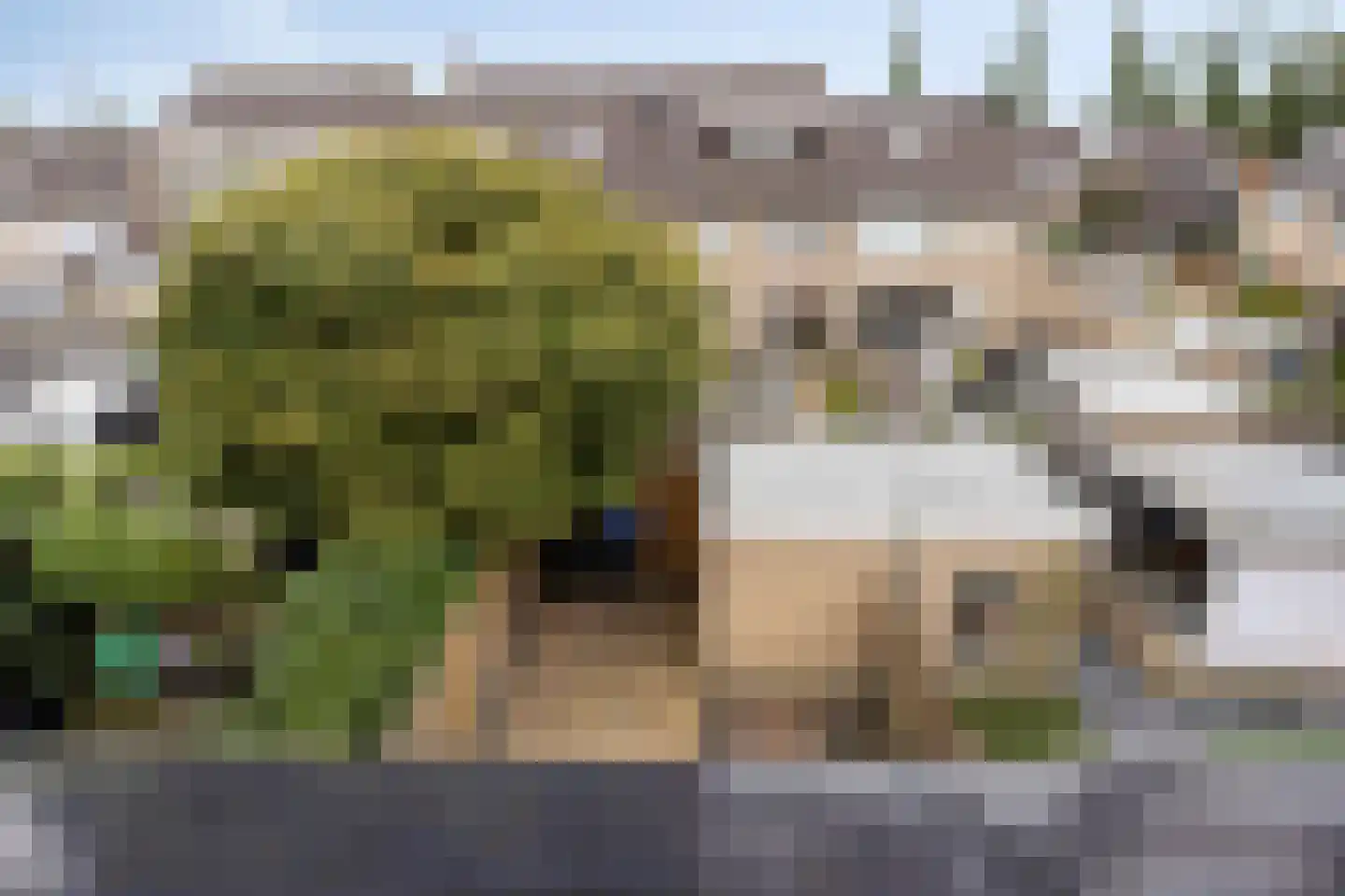 Meerkoet 10 Sommelsdijk thumbnail 24