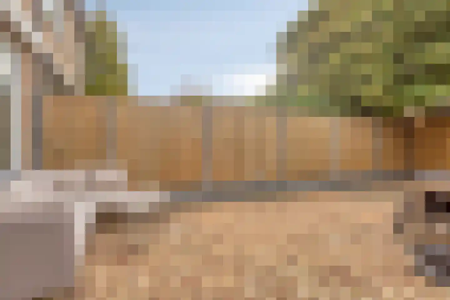 Meerkoet 10 Sommelsdijk thumbnail 26