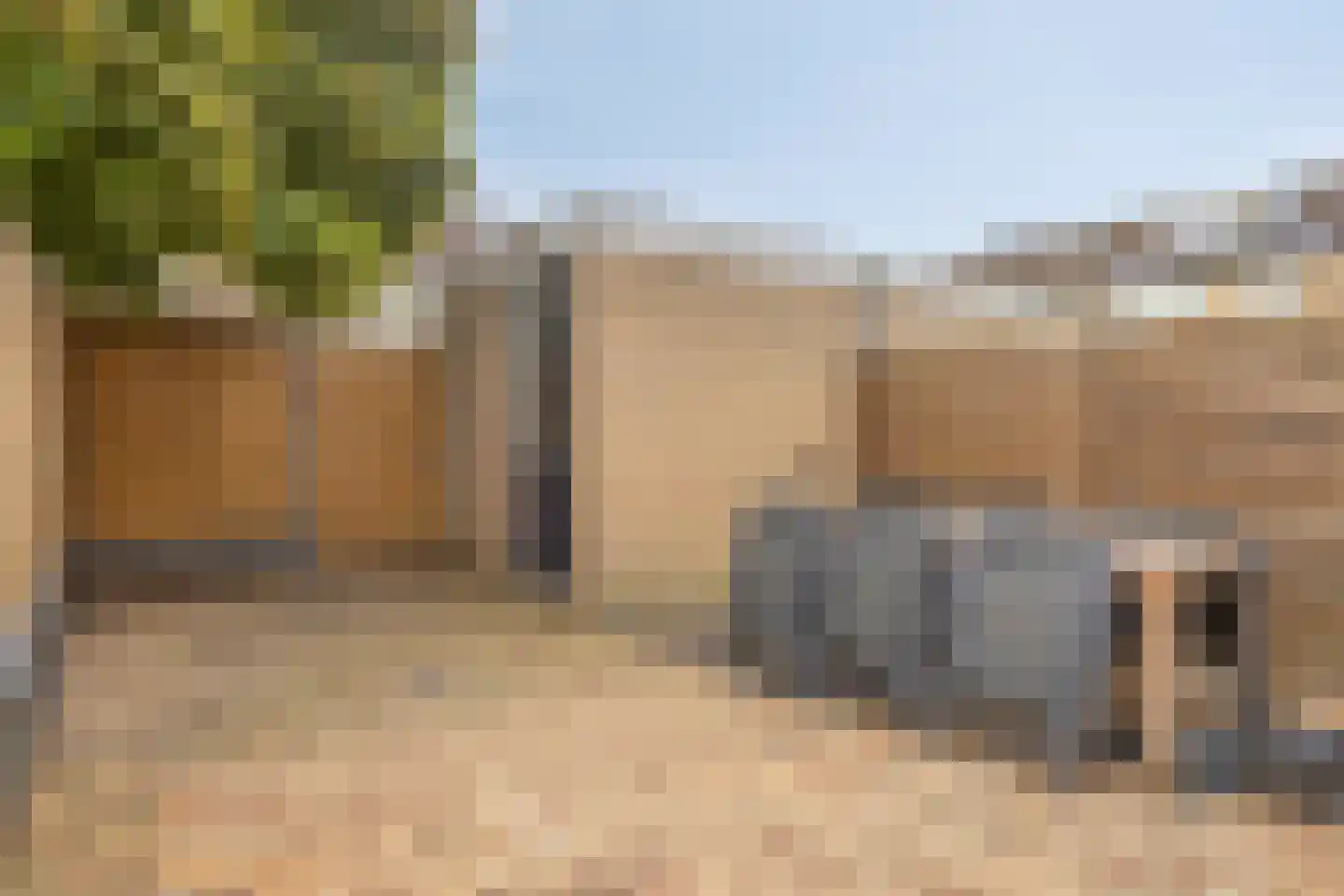 Meerkoet 10 Sommelsdijk thumbnail 27