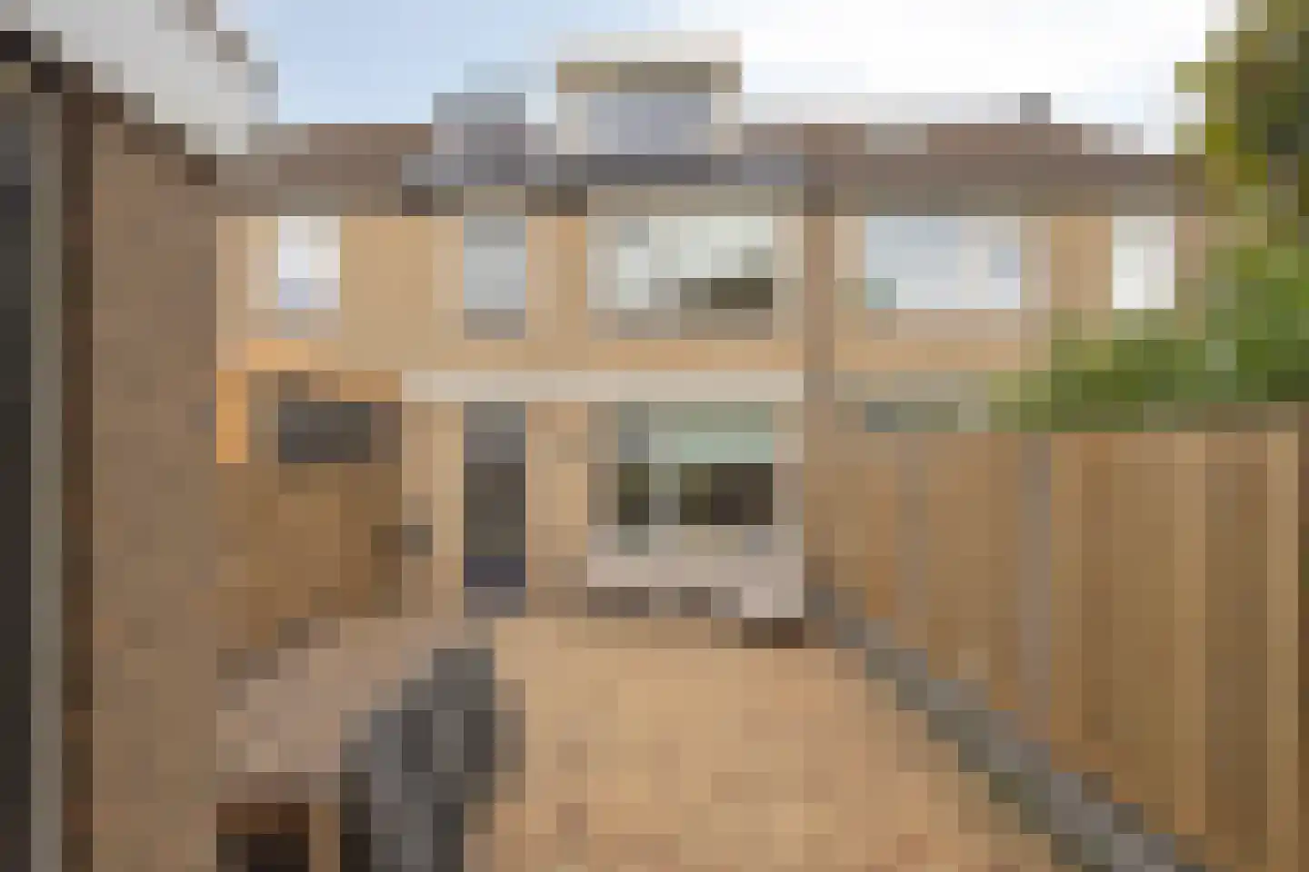 Meerkoet 10 Sommelsdijk thumbnail 28