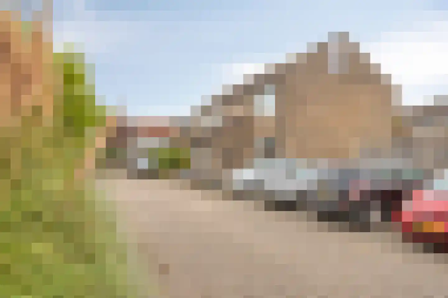 Meerkoet 10 Sommelsdijk thumbnail 30