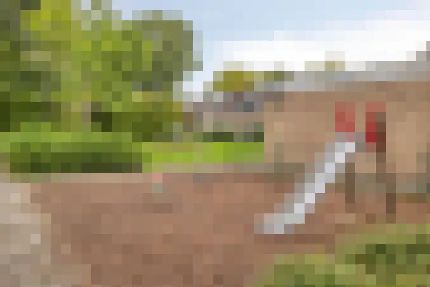 Meerkoet 10 Sommelsdijk thumbnail 31
