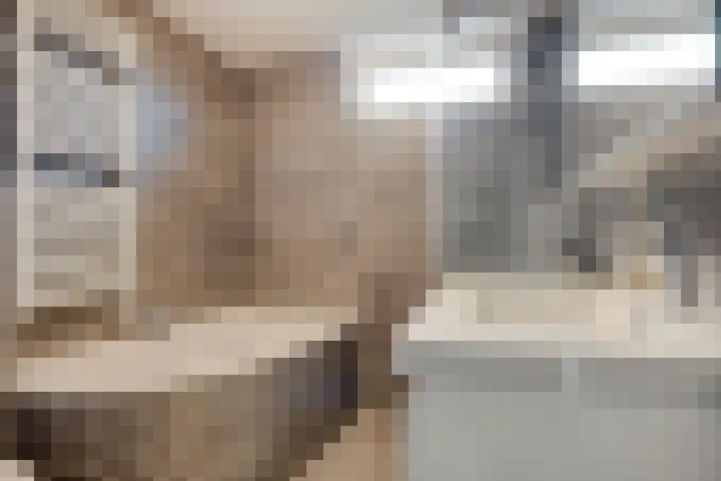 Meerkoet 10 Sommelsdijk thumbnail 4