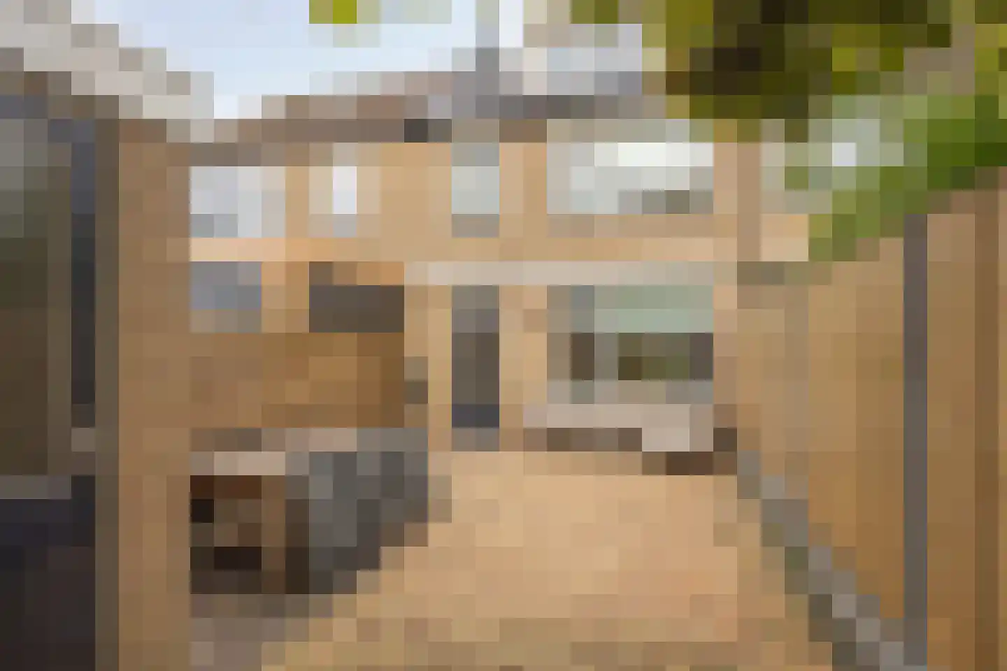 Meerkoet 10 Sommelsdijk thumbnail 7