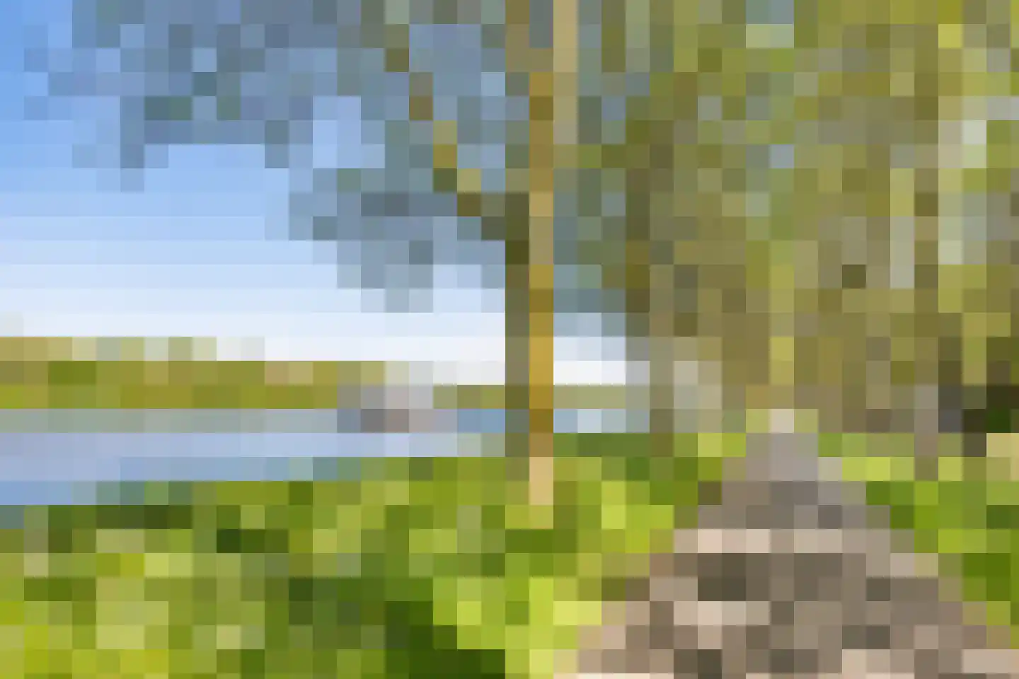 Meerkoet 109 Diemen thumbnail 15
