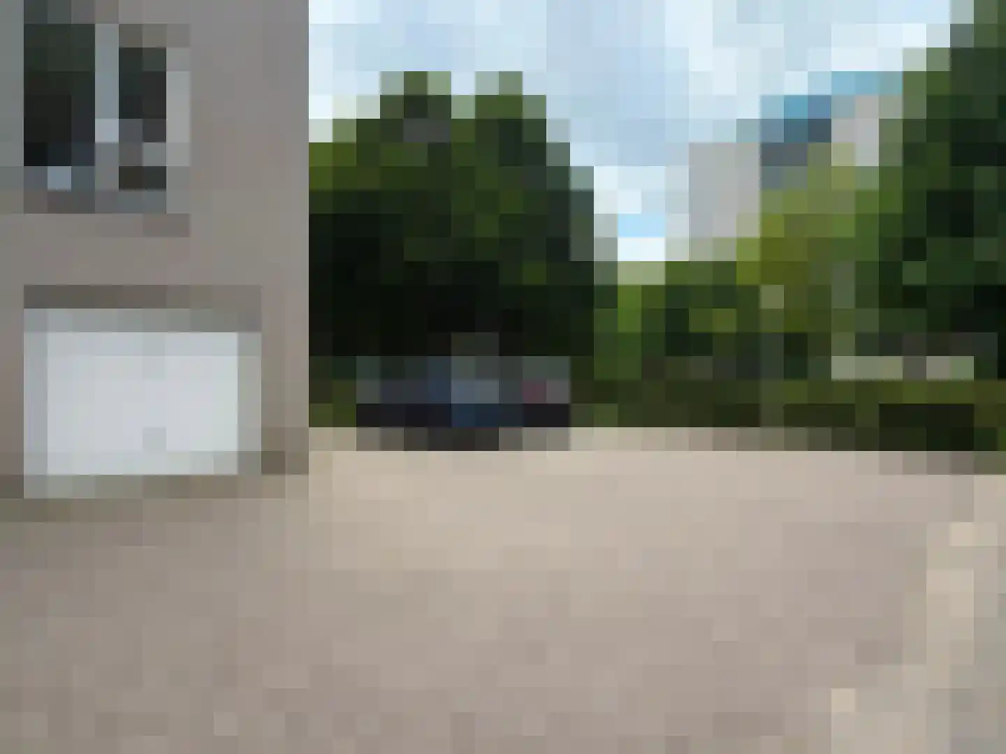 Meerkoet 109 Diemen thumbnail 9