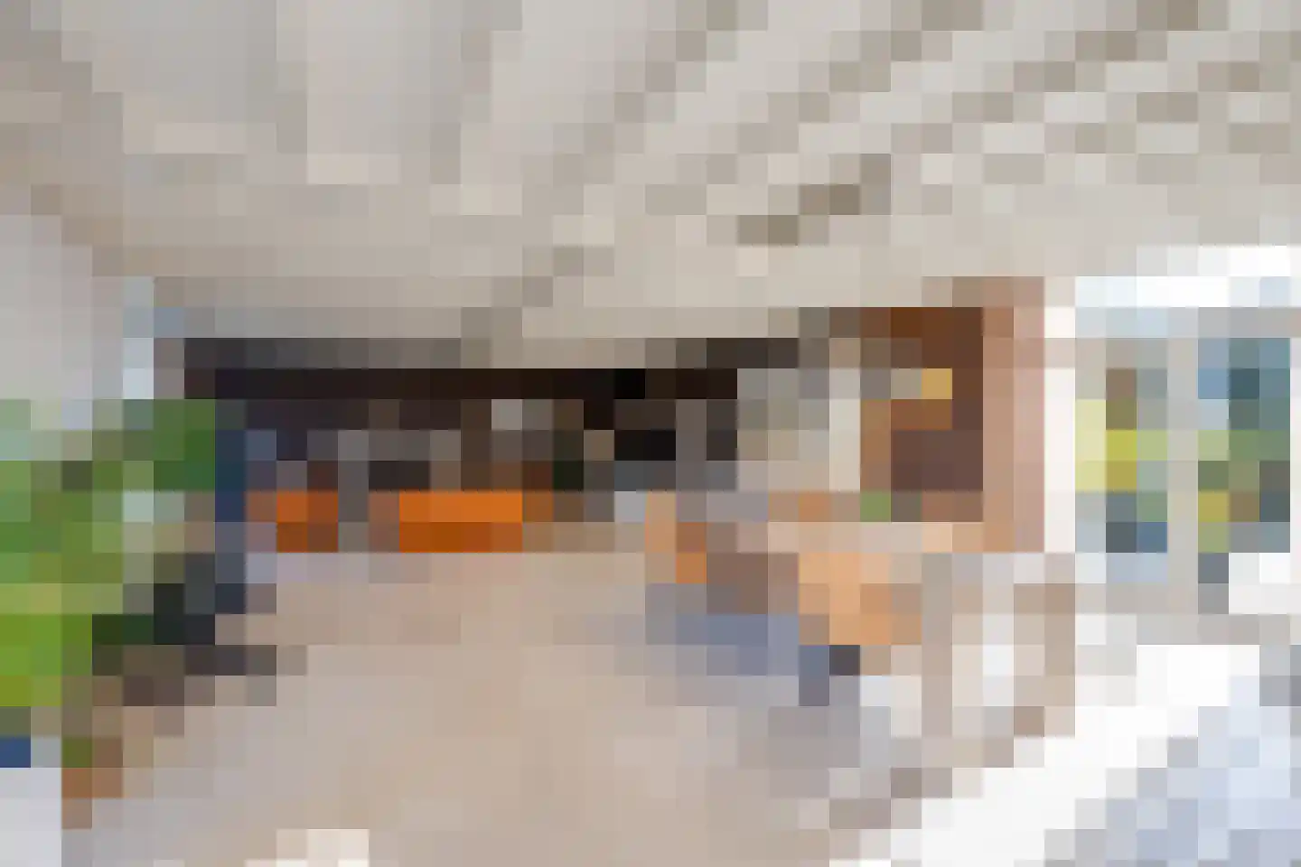 Meerkoet 11 Fijnaart thumbnail 10