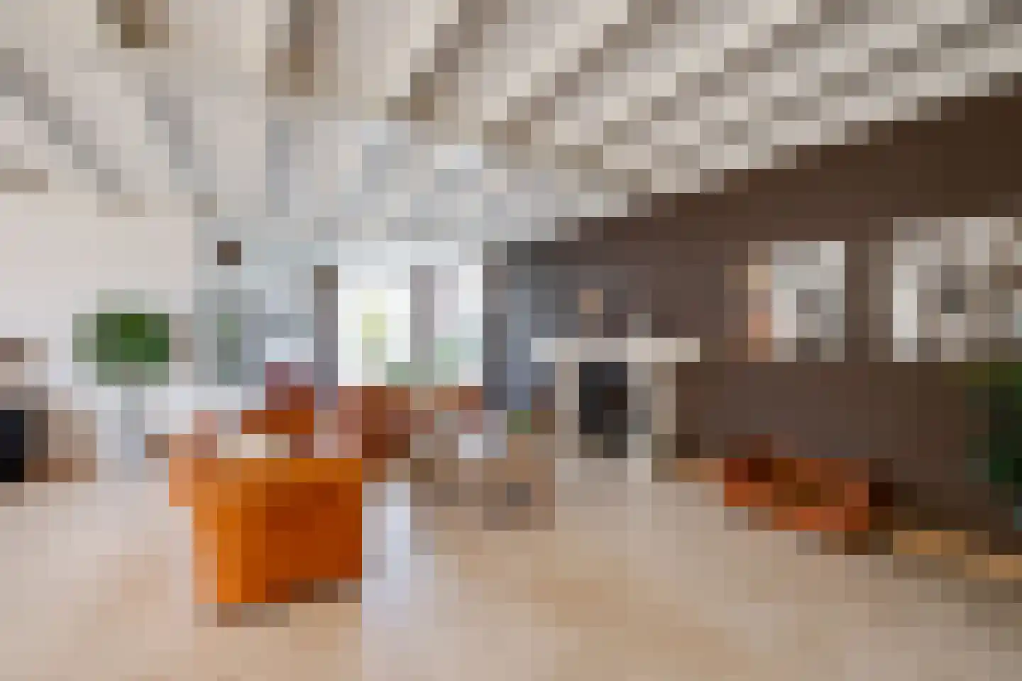 Meerkoet 11 Fijnaart thumbnail 12
