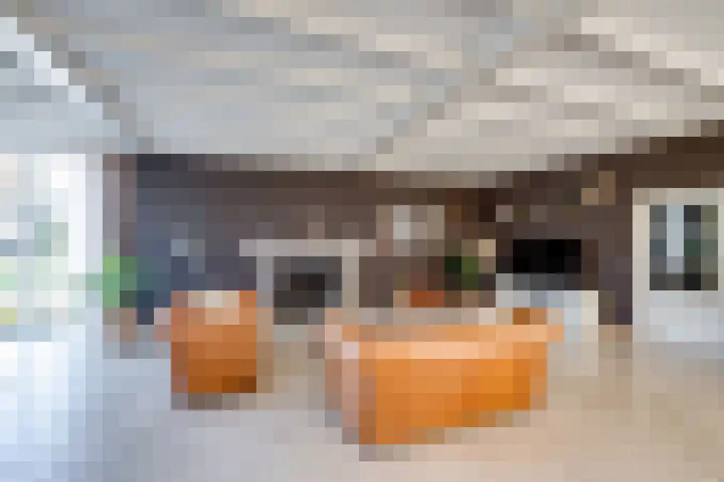 Meerkoet 11 Fijnaart thumbnail 13