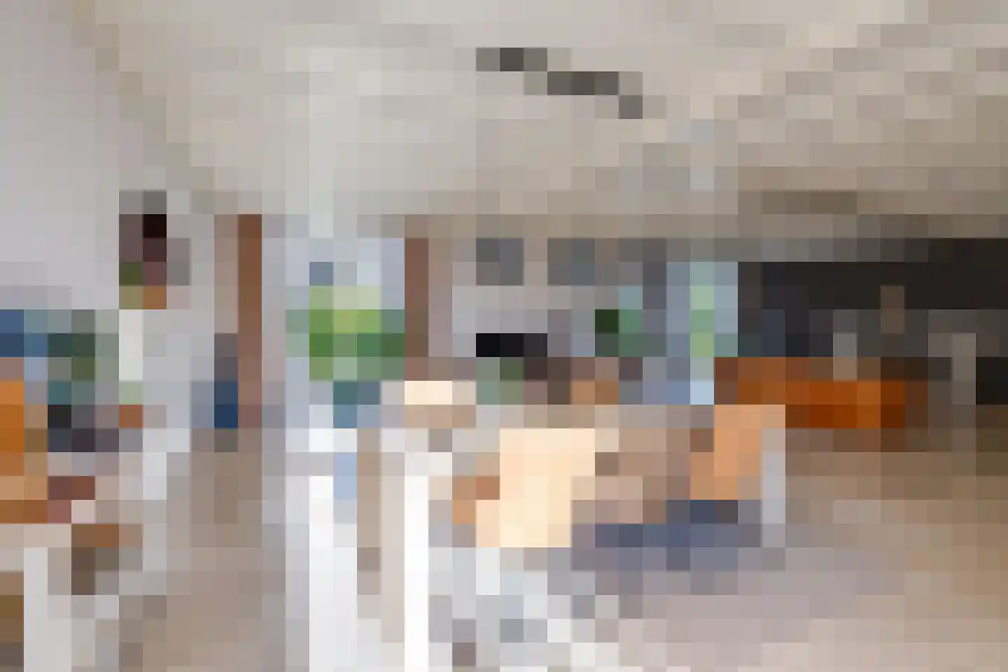Meerkoet 11 Fijnaart thumbnail 15