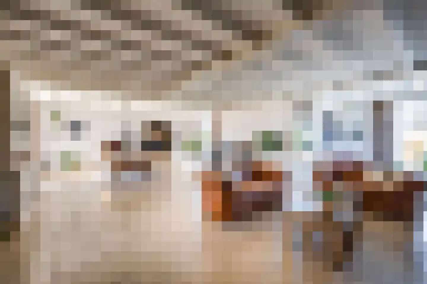 Meerkoet 11 Fijnaart thumbnail 16