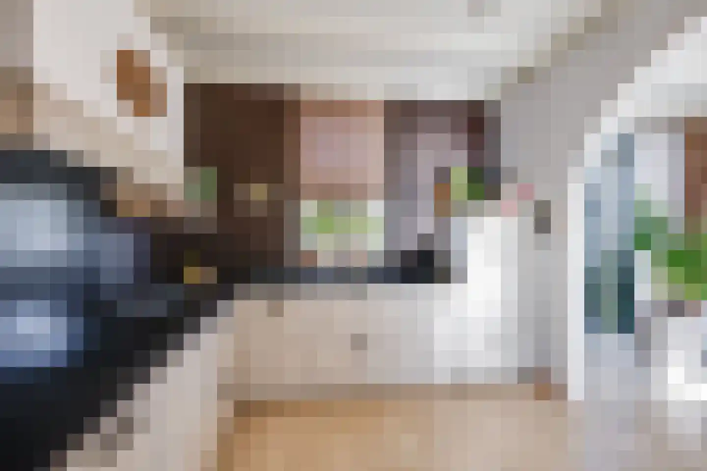 Meerkoet 11 Fijnaart thumbnail 20