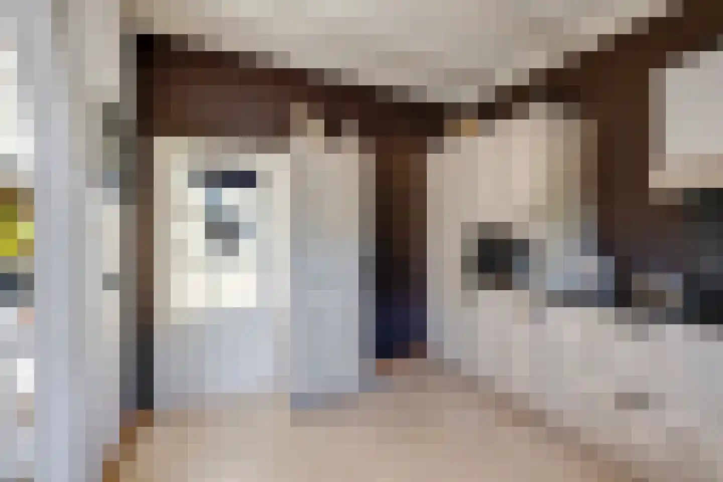 Meerkoet 11 Fijnaart thumbnail 22