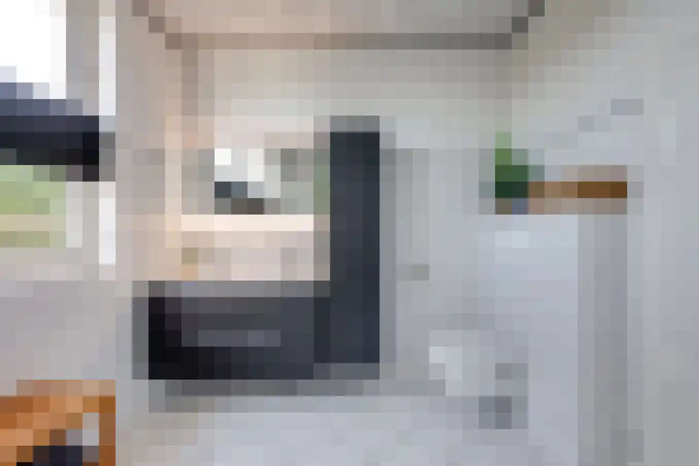 Meerkoet 11 Fijnaart thumbnail 28