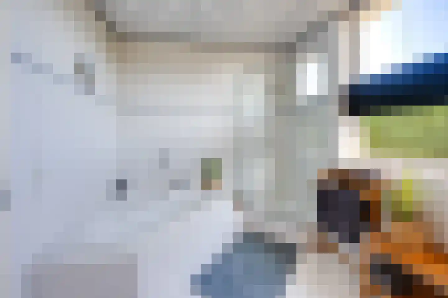 Meerkoet 11 Fijnaart thumbnail 30