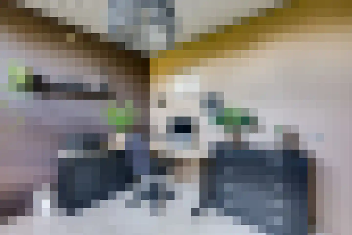 Meerkoet 11 Fijnaart thumbnail 33