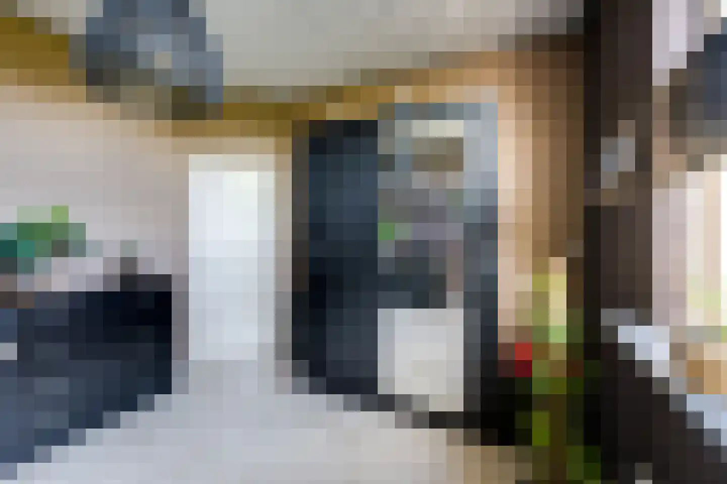 Meerkoet 11 Fijnaart thumbnail 34