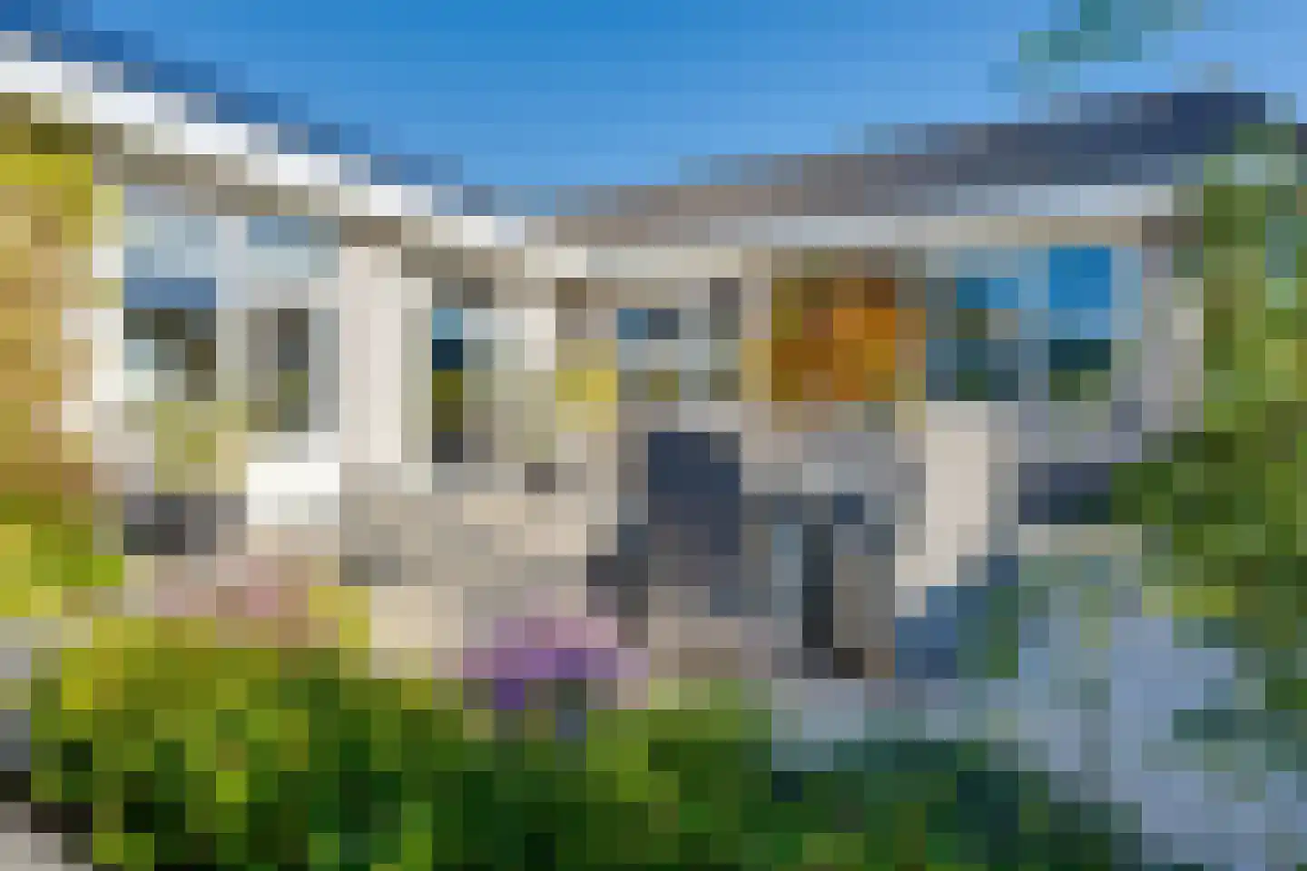 Meerkoet 11 Fijnaart thumbnail 36