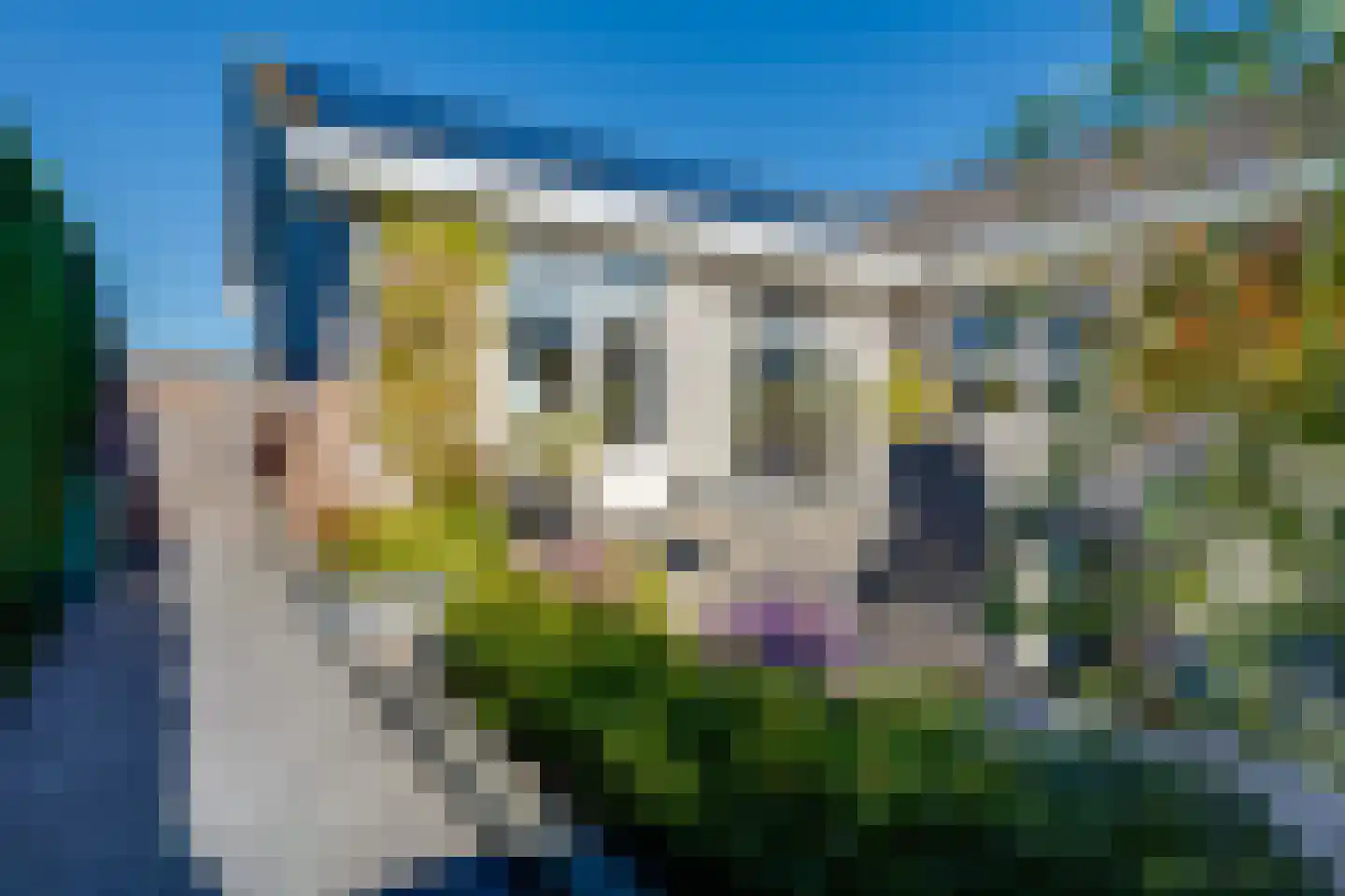 Meerkoet 11 Fijnaart thumbnail 37