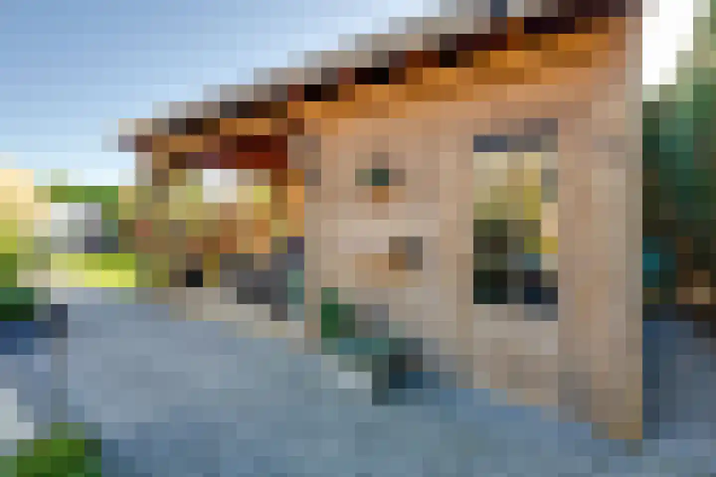 Meerkoet 11 Fijnaart thumbnail 38