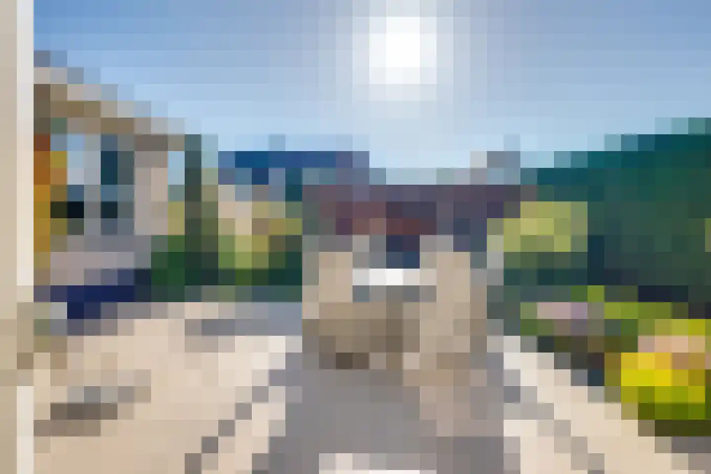 Meerkoet 11 Fijnaart thumbnail 4