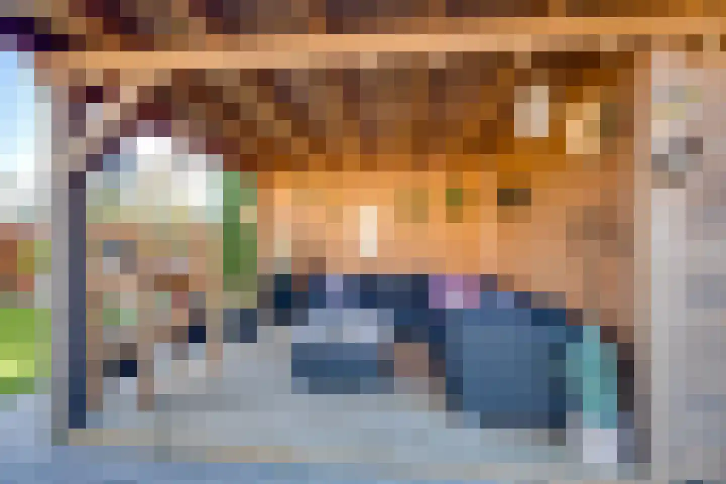 Meerkoet 11 Fijnaart thumbnail 40
