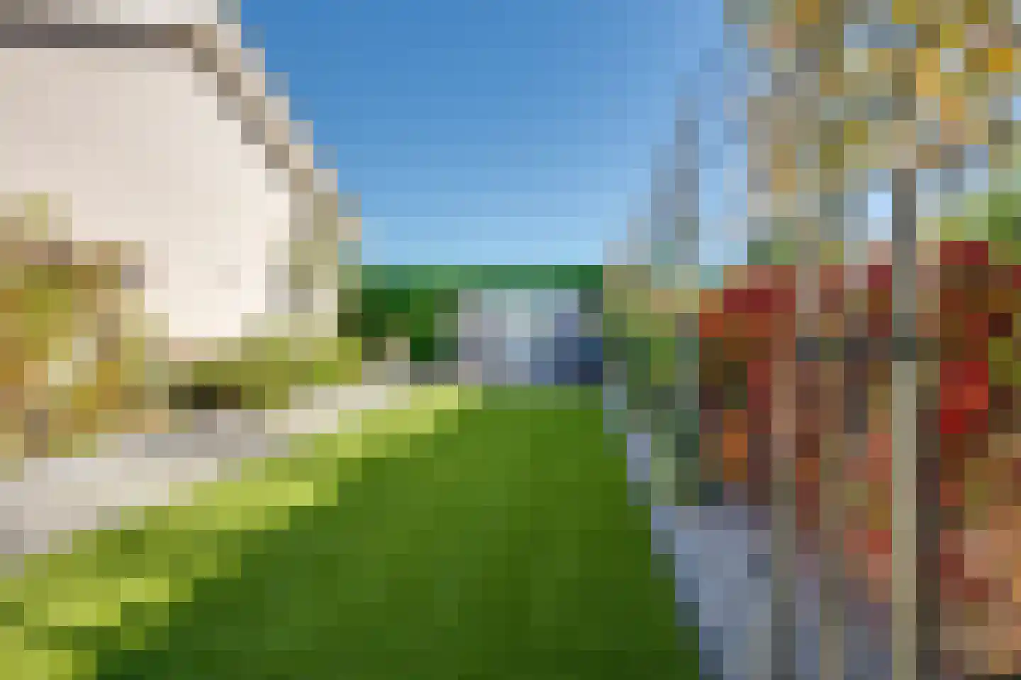 Meerkoet 11 Fijnaart thumbnail 41