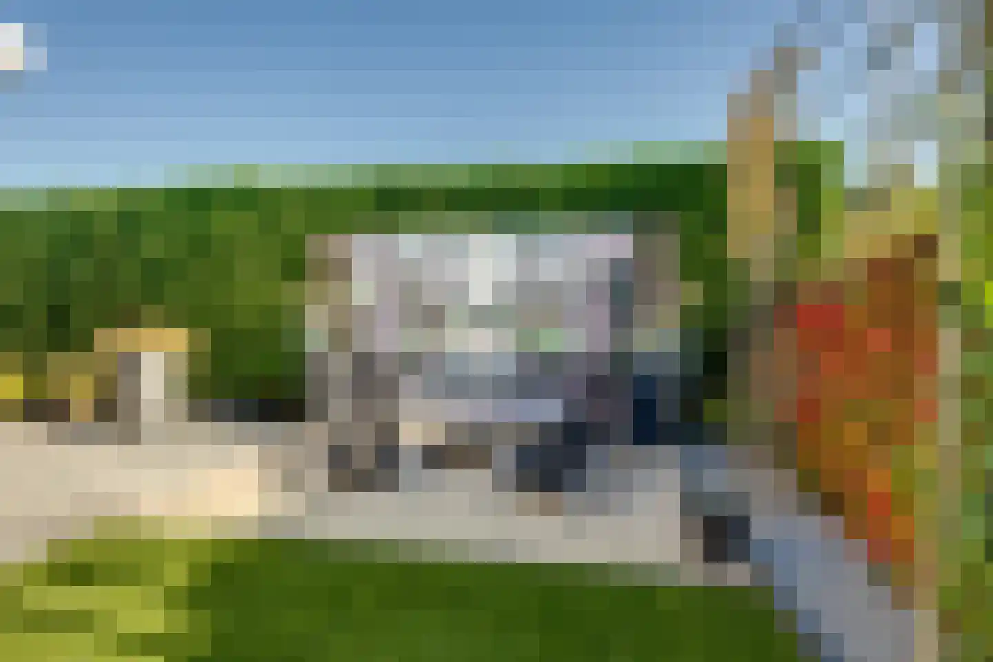 Meerkoet 11 Fijnaart thumbnail 42