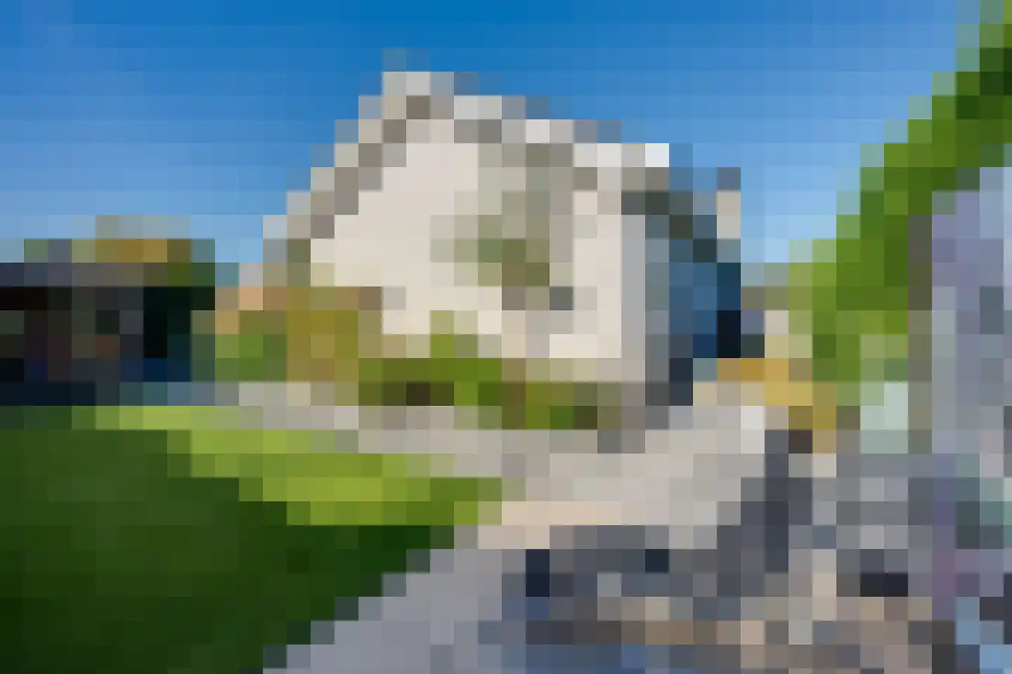 Meerkoet 11 Fijnaart thumbnail 43