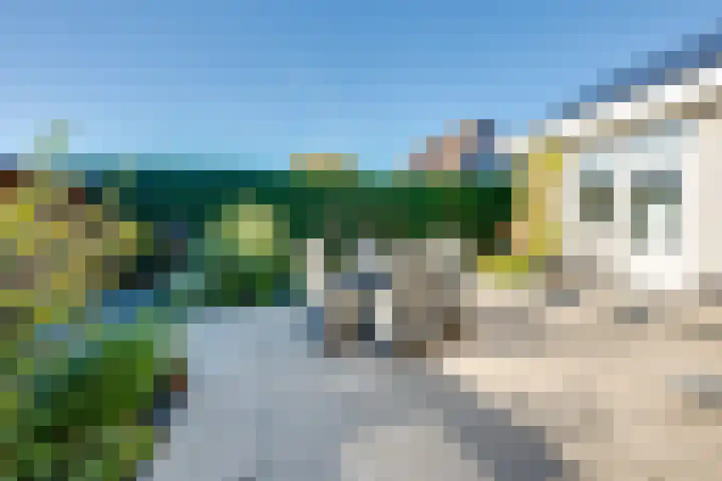 Meerkoet 11 Fijnaart thumbnail 44