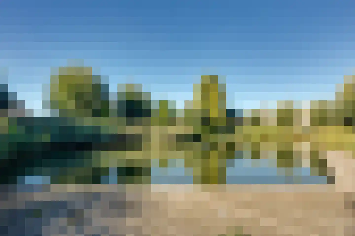Meerkoet 11 Fijnaart thumbnail 46