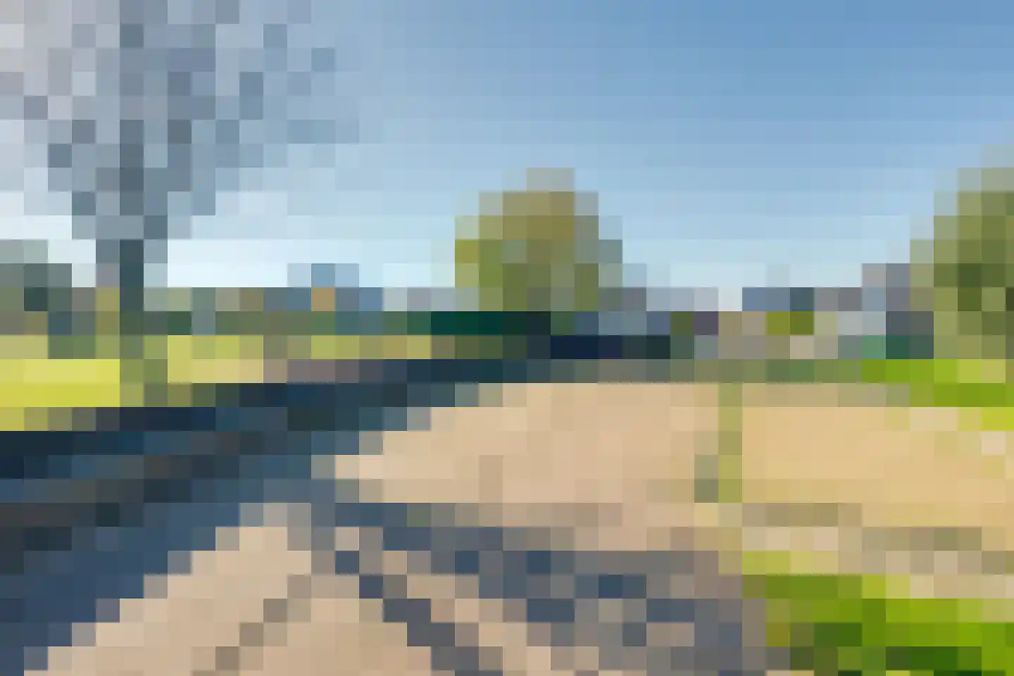 Meerkoet 11 Fijnaart thumbnail 47
