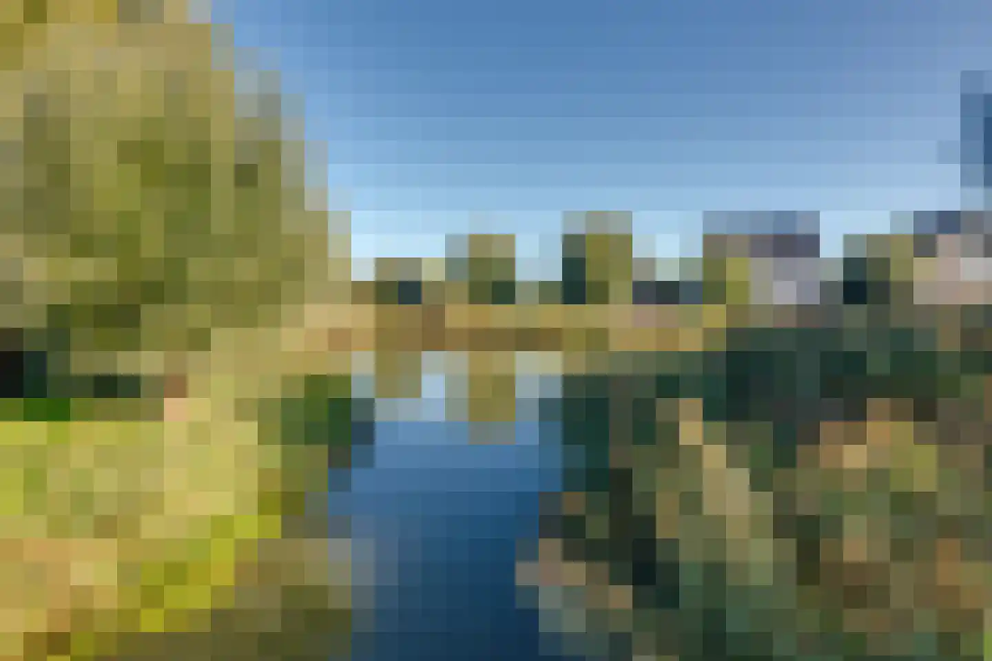 Meerkoet 11 Fijnaart thumbnail 50