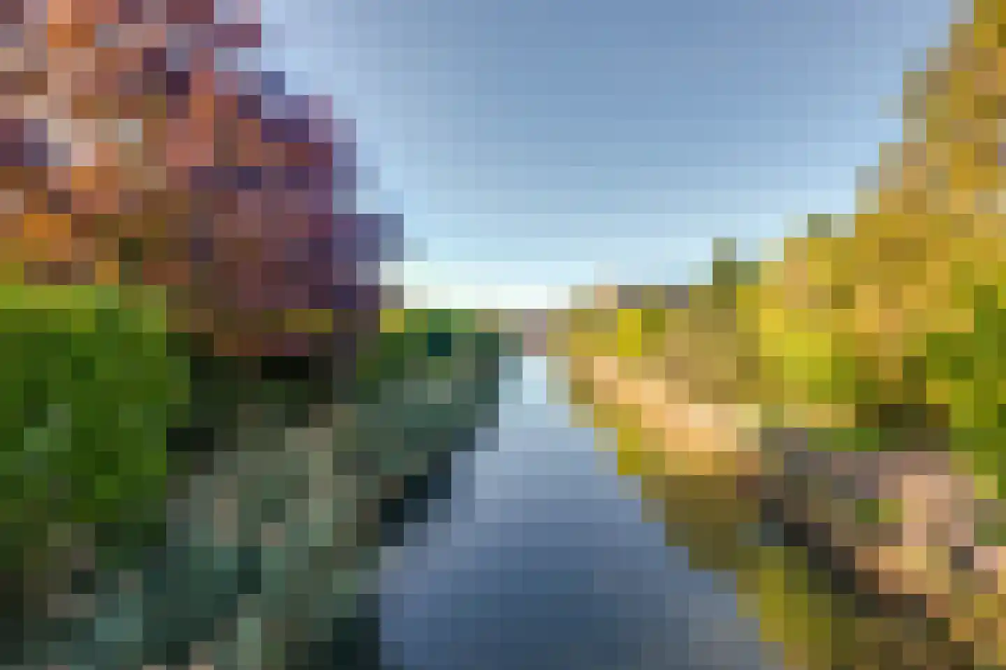 Meerkoet 11 Fijnaart thumbnail 51