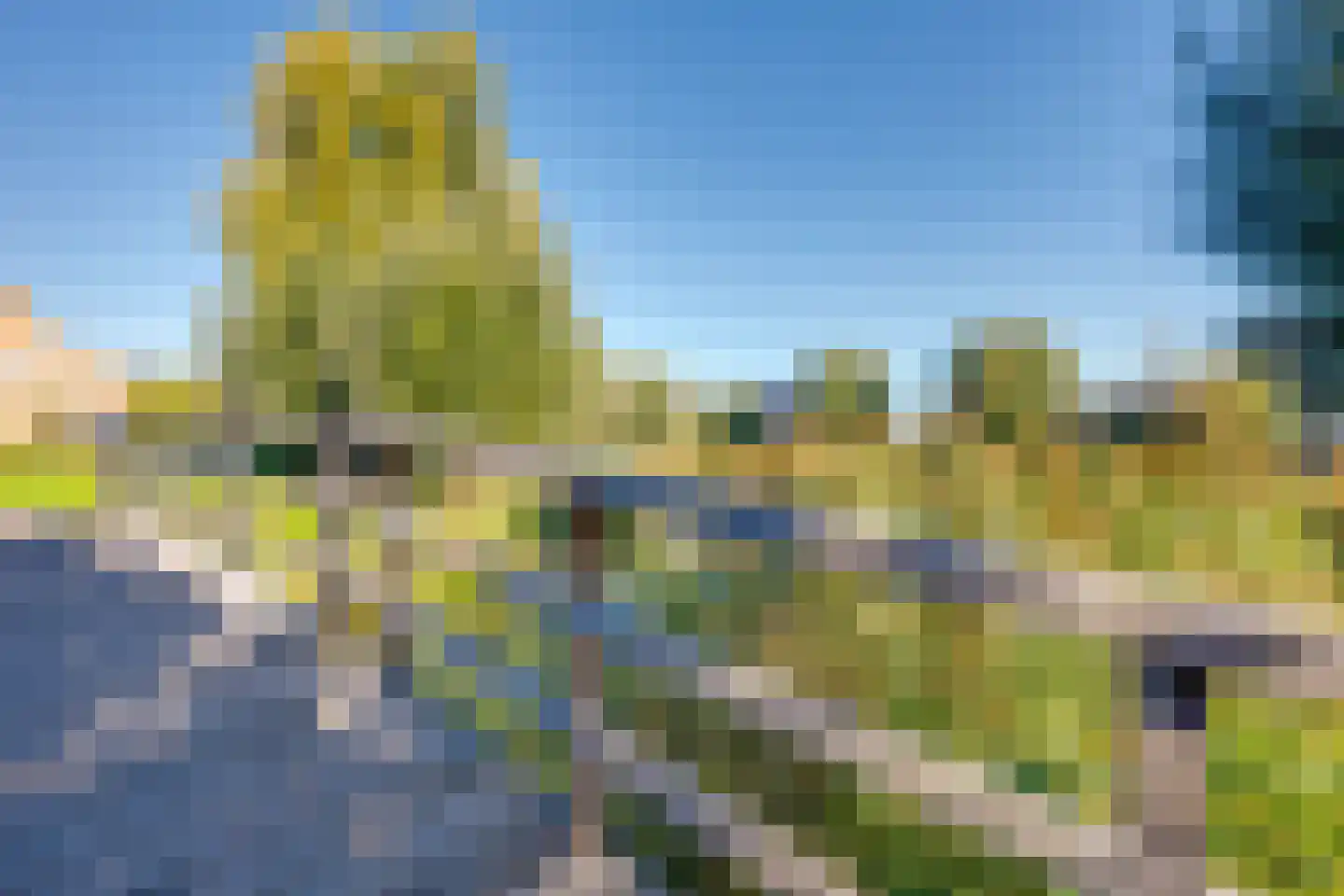 Meerkoet 11 Fijnaart thumbnail 52