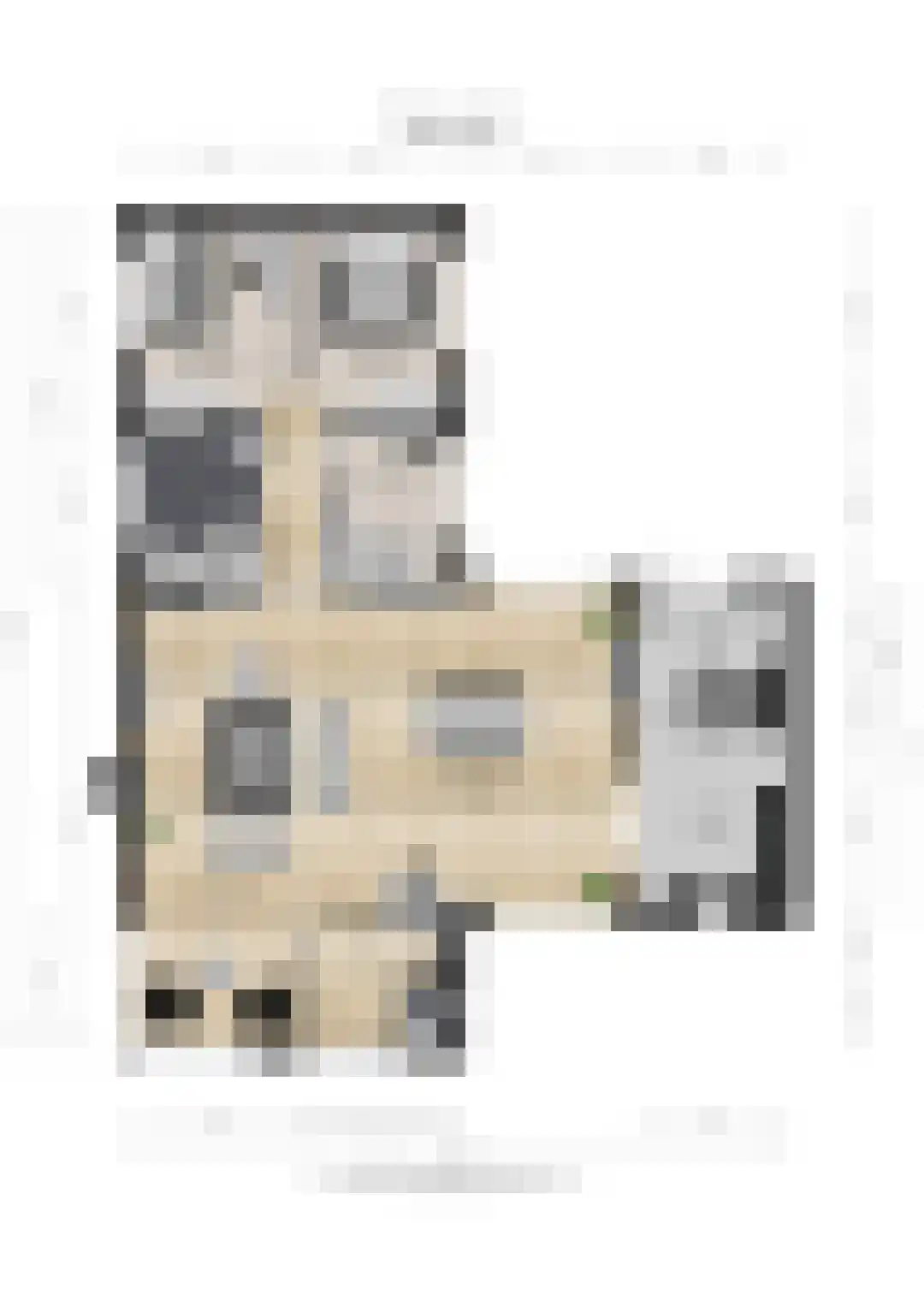 Meerkoet 11 Fijnaart thumbnail 53
