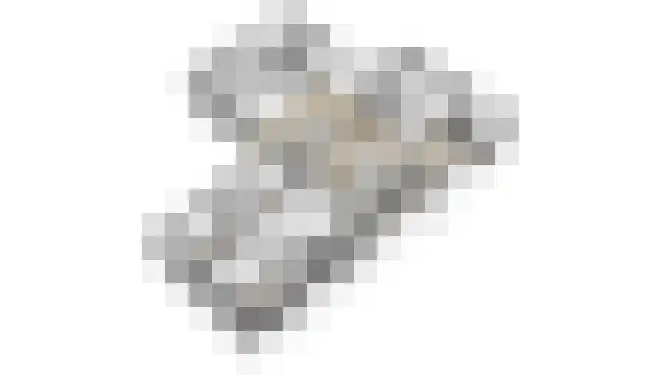 Meerkoet 11 Fijnaart thumbnail 54