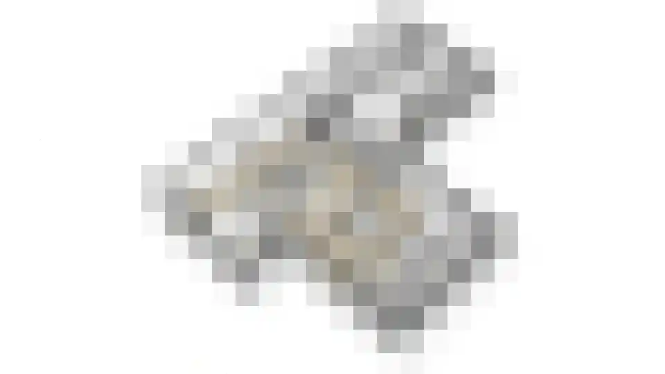 Meerkoet 11 Fijnaart thumbnail 55